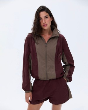 Burgundy / Brown Adanola Track Jacket | TCKSBF502